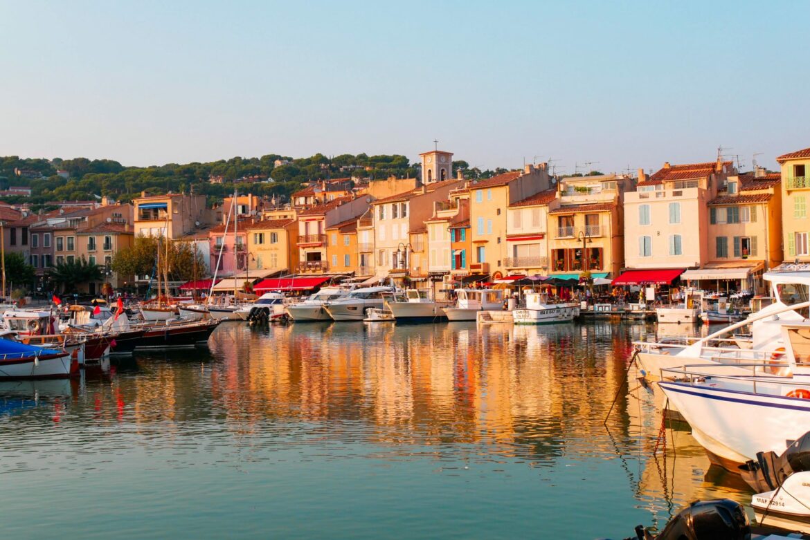 Comment utiliser le cassis contre l'arthrose ?