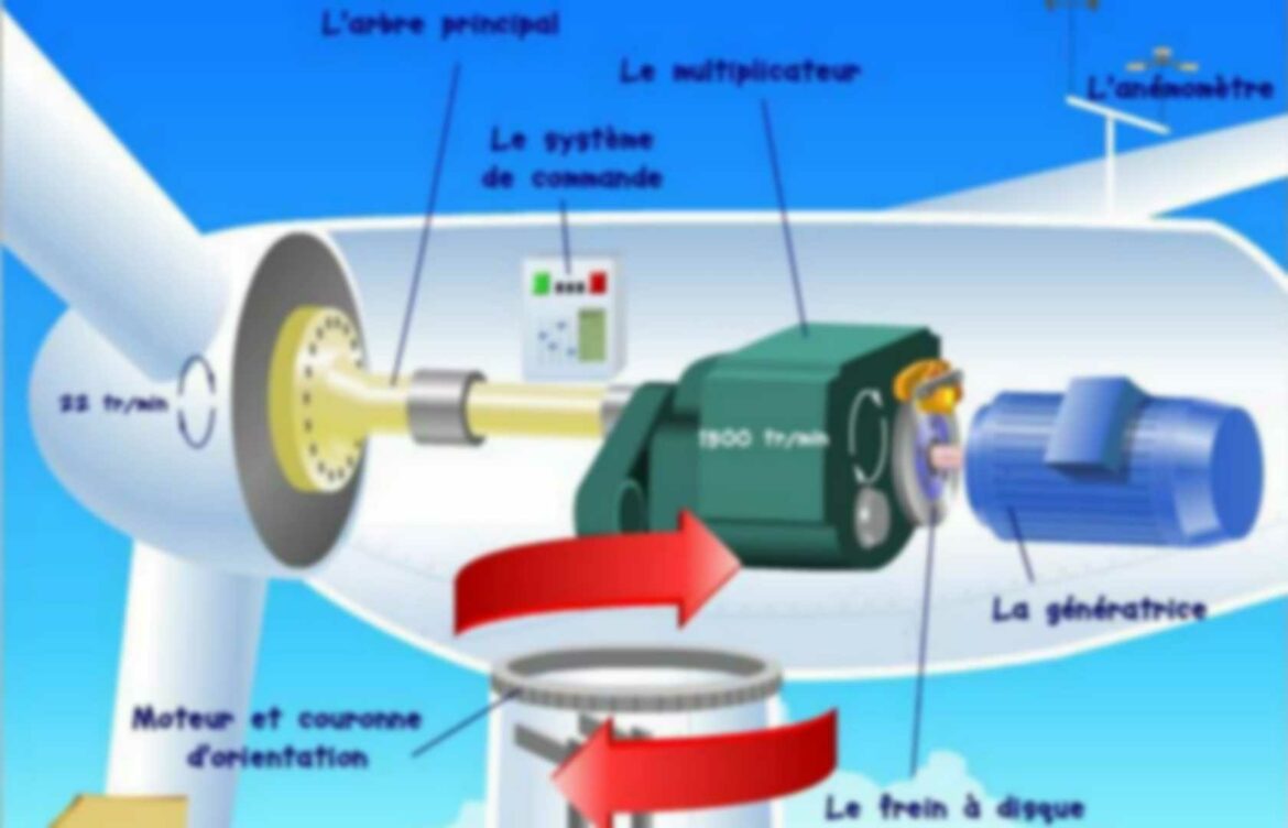 Comment utiliser les graines de genièvre ?