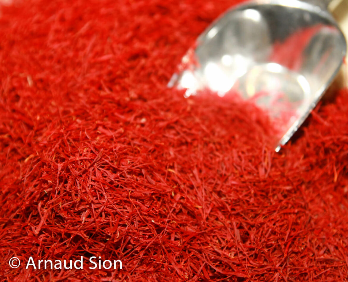 Comment vivre du safran ?