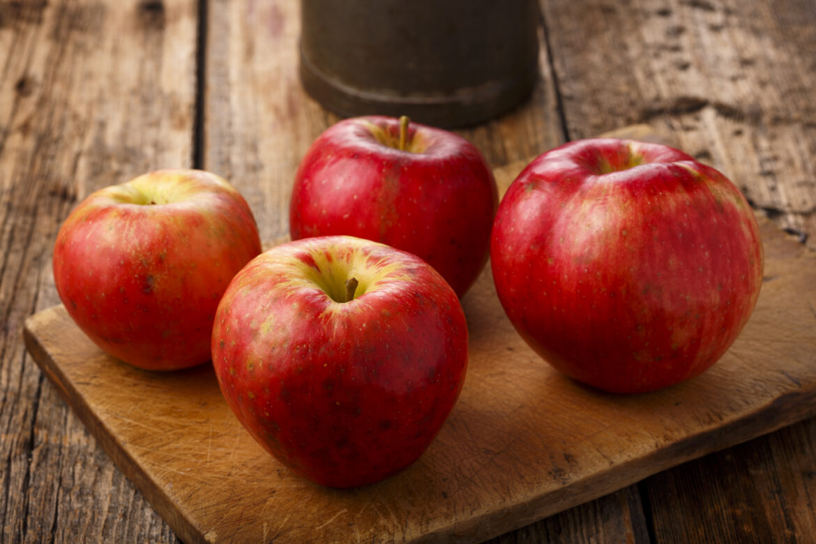 Est-ce que l ipomée gelé ?