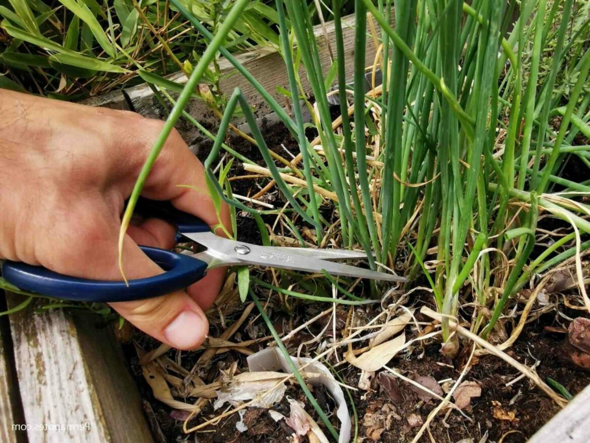 Est-ce que la misère craint le froid ?