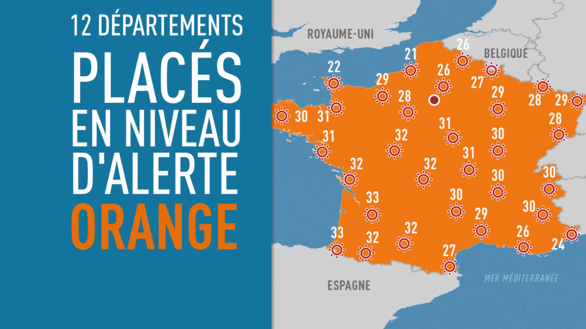 Est-ce que le fuchsia gel ?