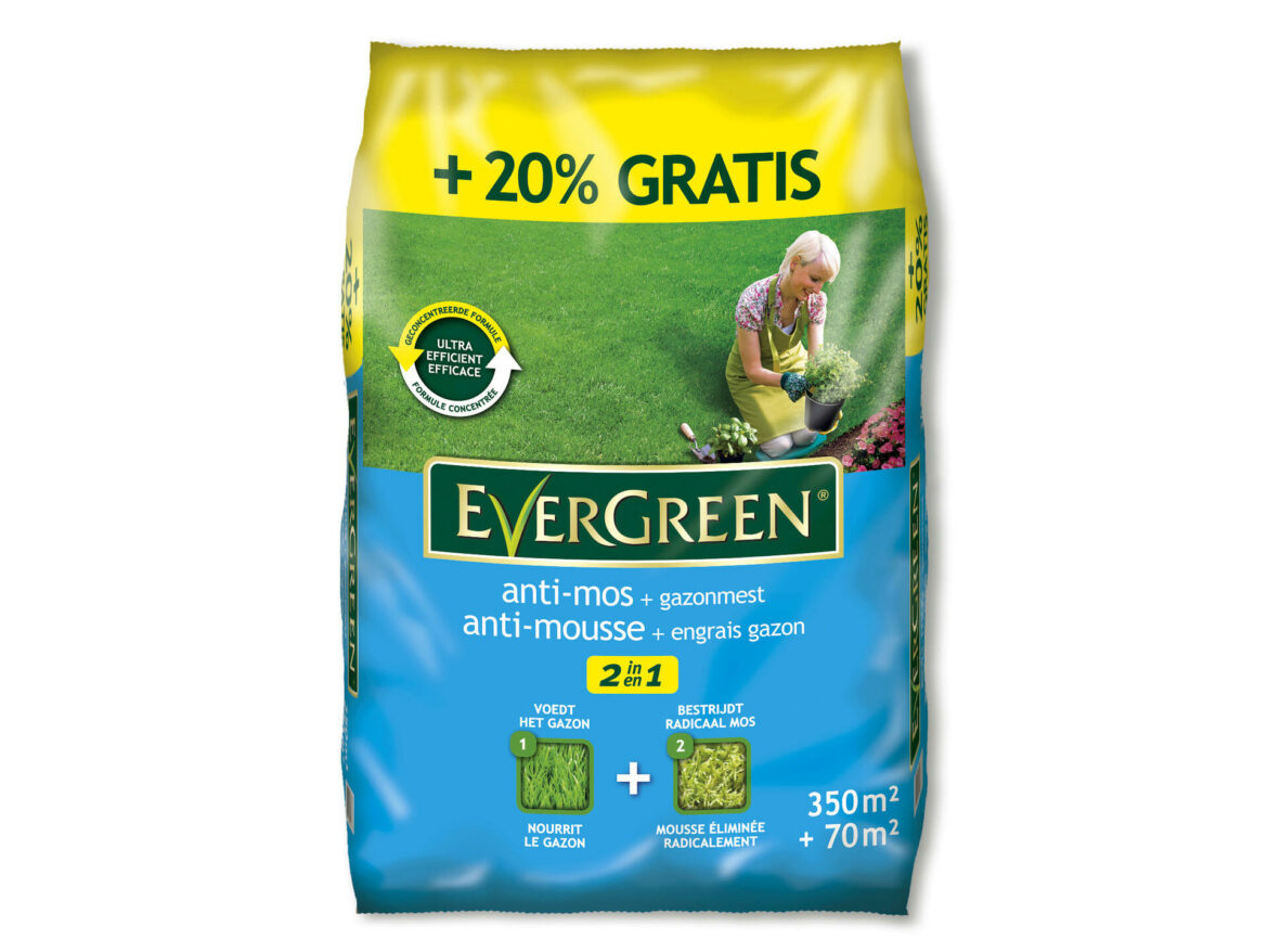 Est-ce que le marc de café est un bon engrais ?