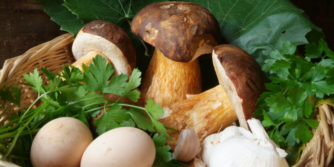 Est-ce que le pied de cèpe se mange ?