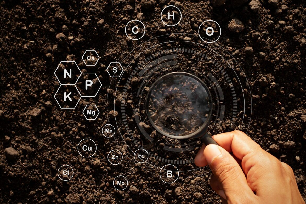 Est-ce que le terreau remplace la terre ?