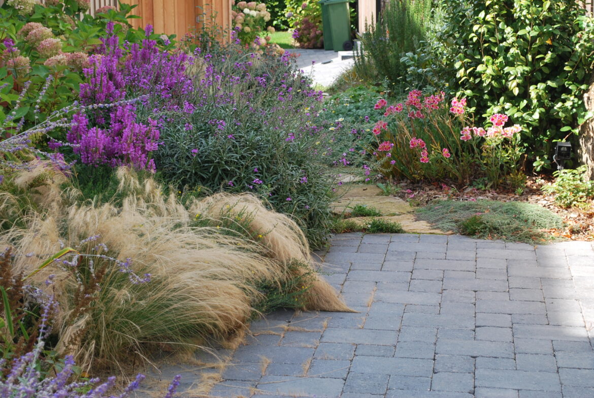Est-ce que les graminées poussent vite ?