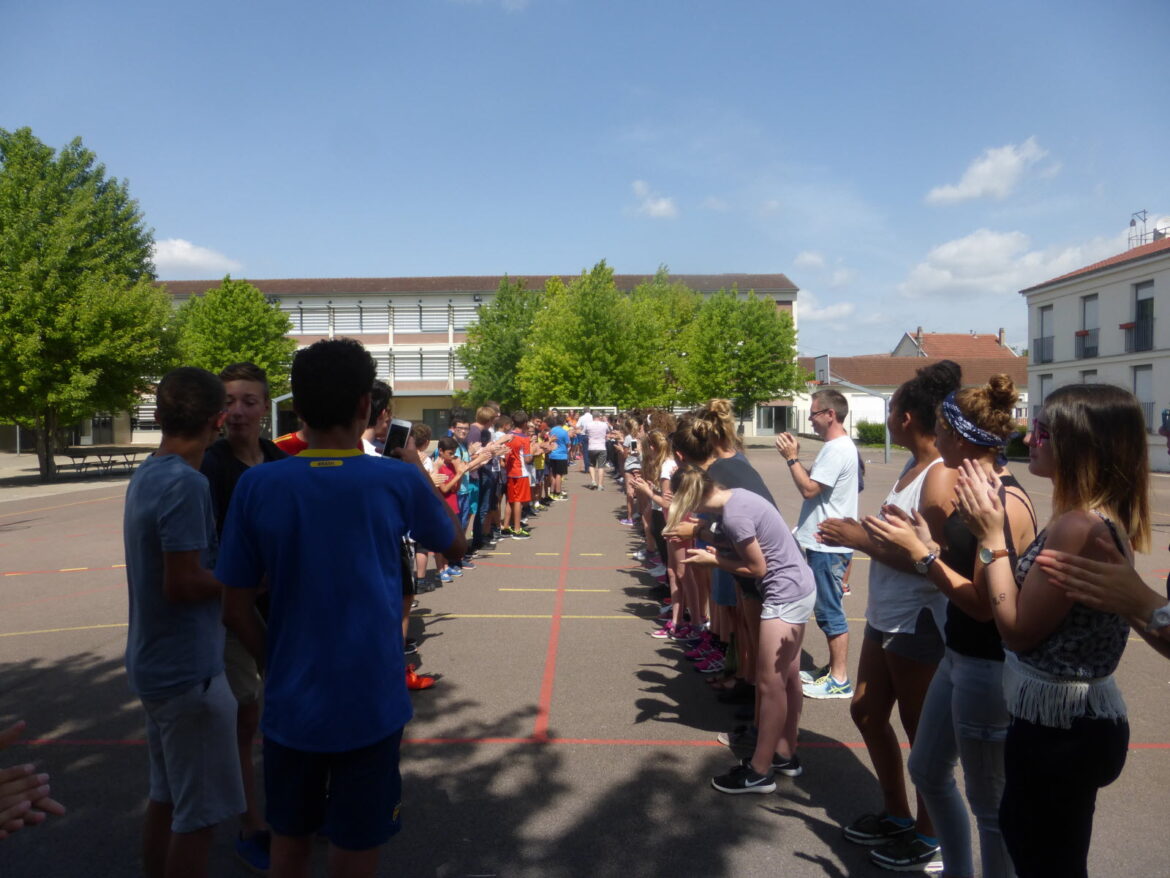 Est-ce que les lauriers poussent vite ?