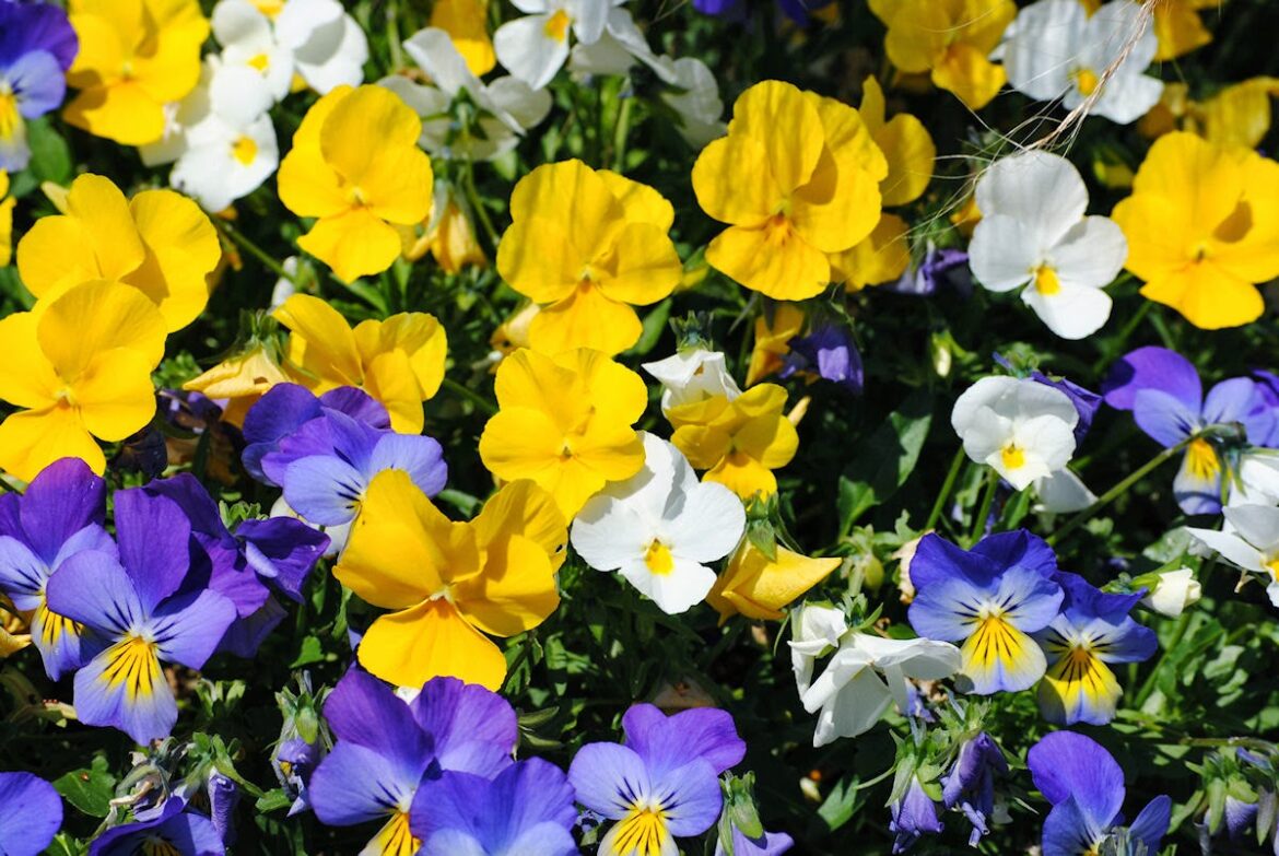 Est-ce que les pensées repoussent ?