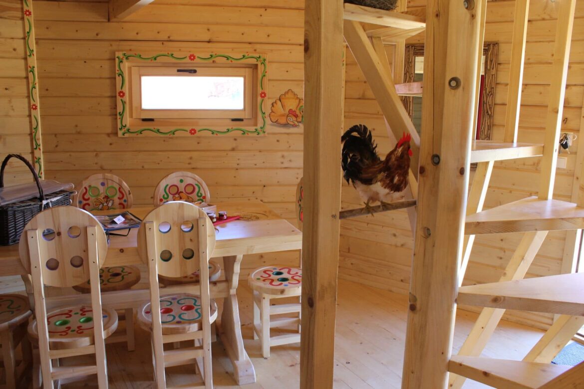 Est-ce que les poules supportent le froid ?