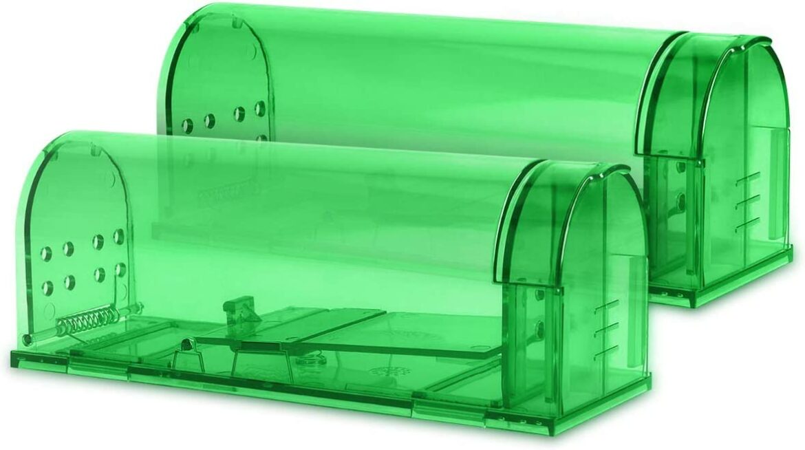 Est-ce que les souris peuvent monter sur les lits ?