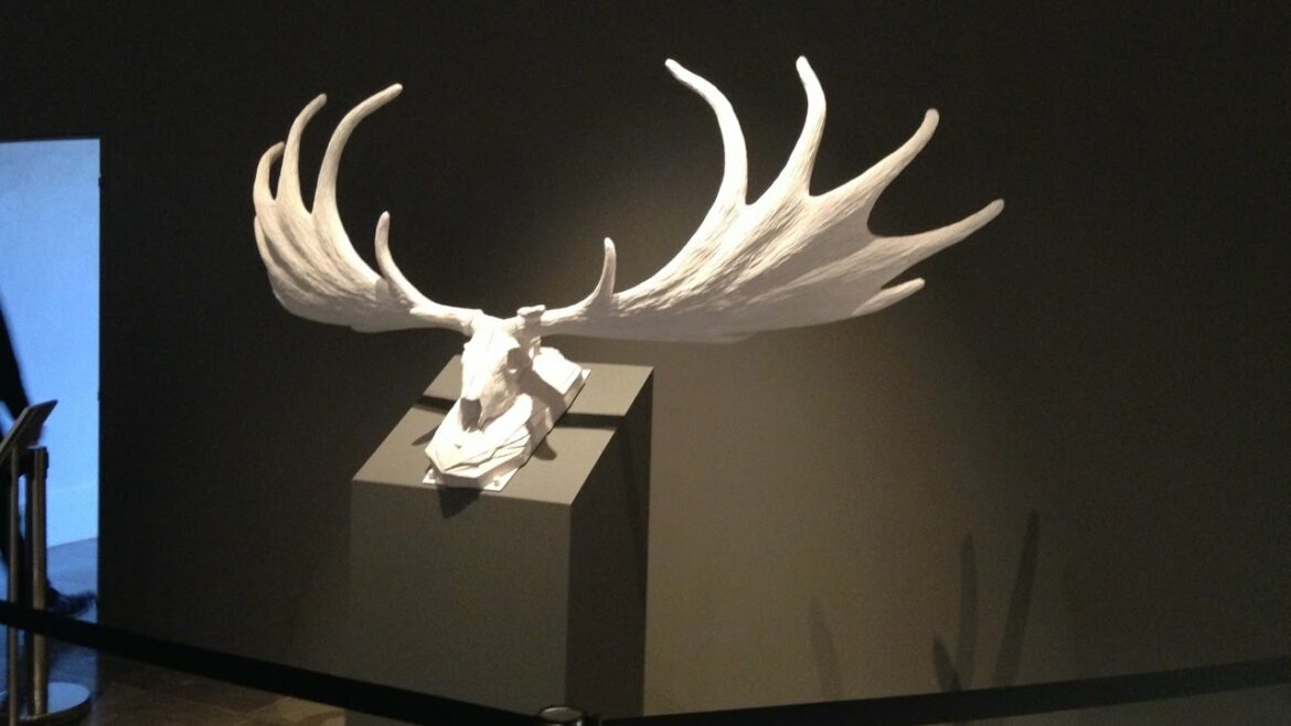 Est-ce que l'origan craint le gel ?