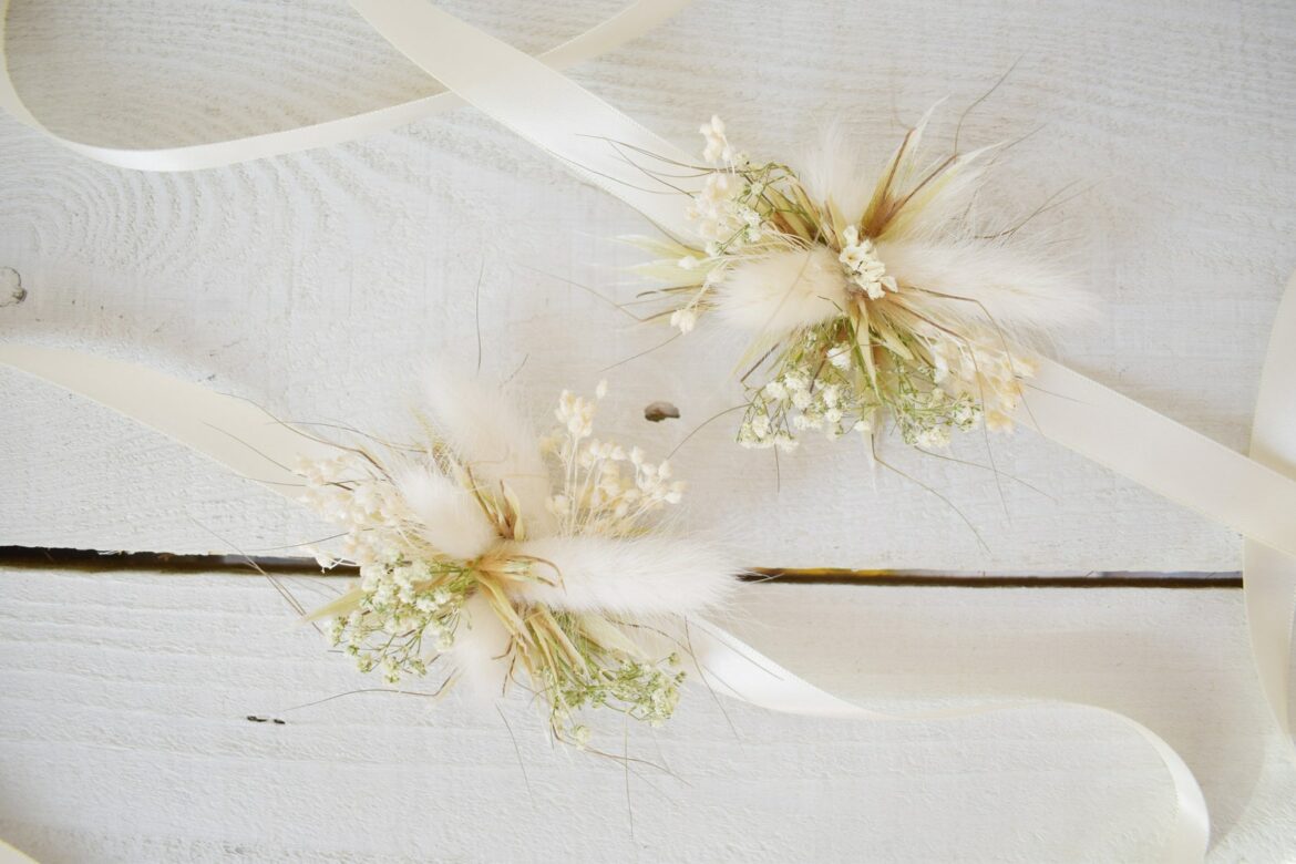 Où cueillir Lagurus ?