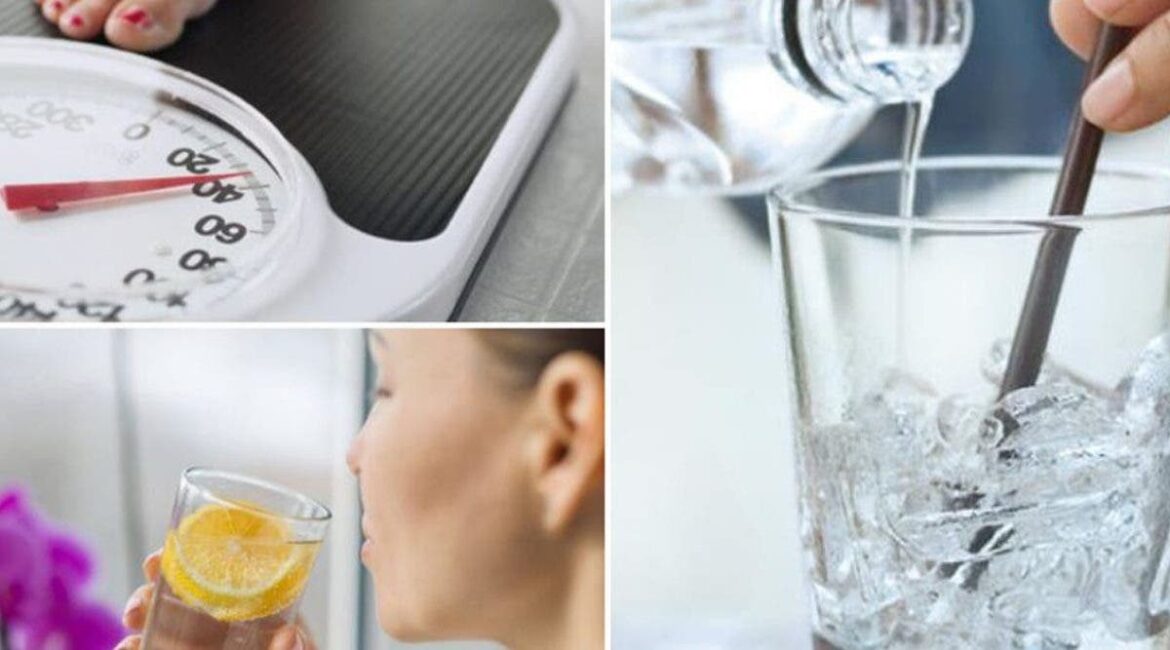 Où mettre les cactus dans la maison ?