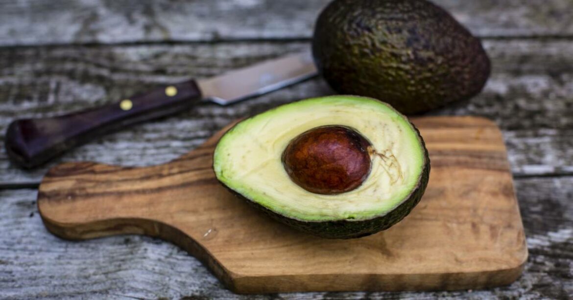 Où mettre un pilea ?