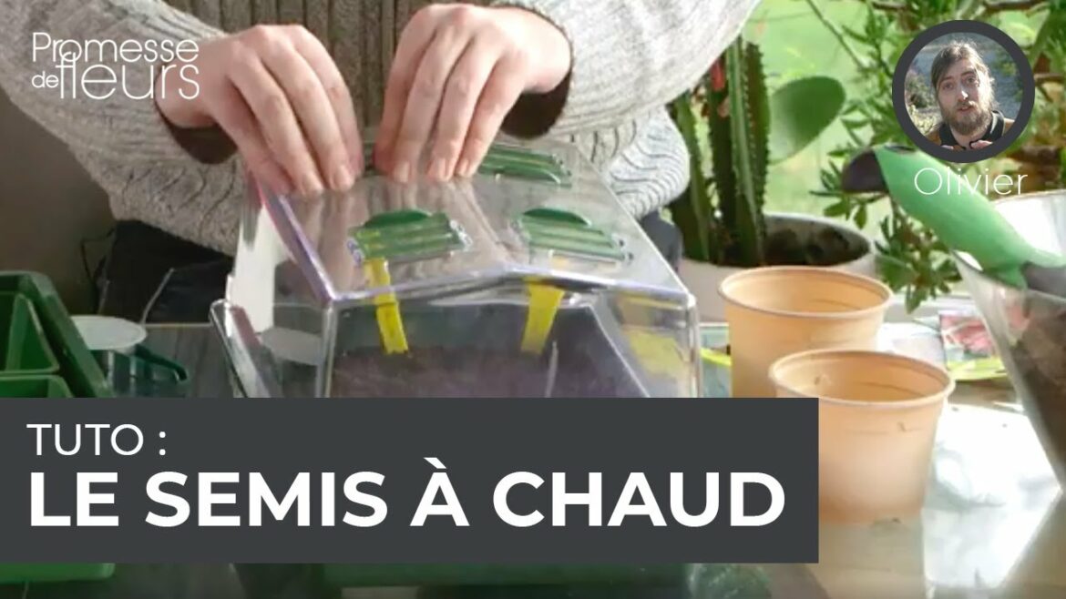 Où placer les semis ?