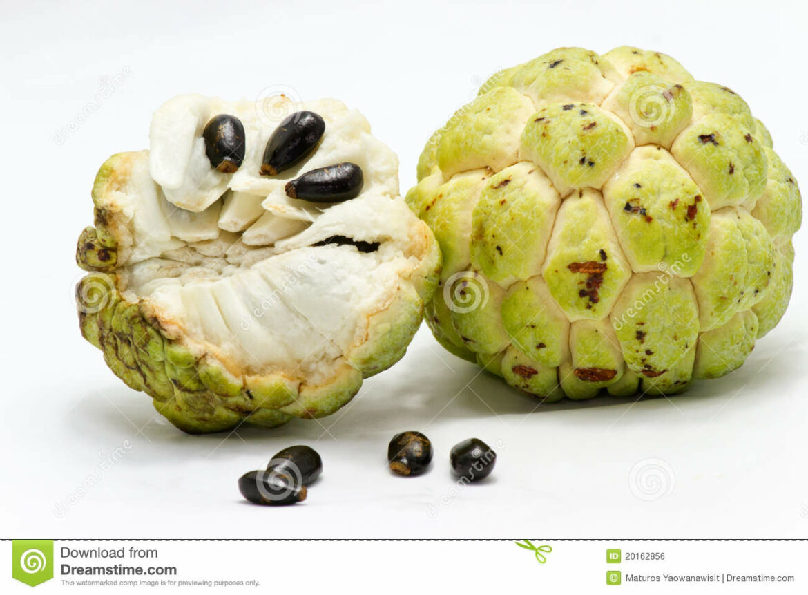 Où pousse le corossol ?