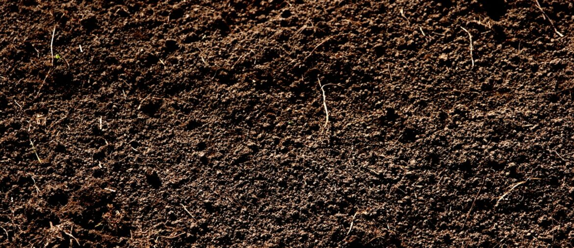 Où trouver de la terre gratuitement ?