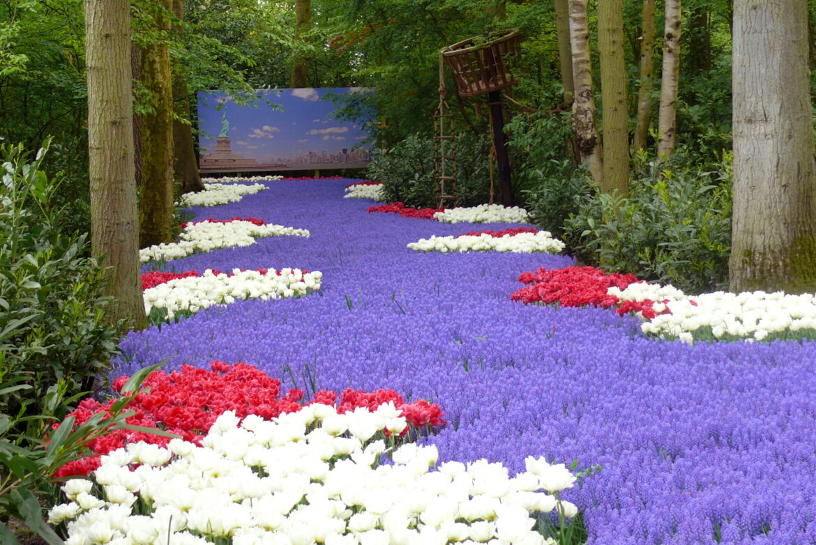 Où voir les champs de fleurs aux Pays-Bas ?