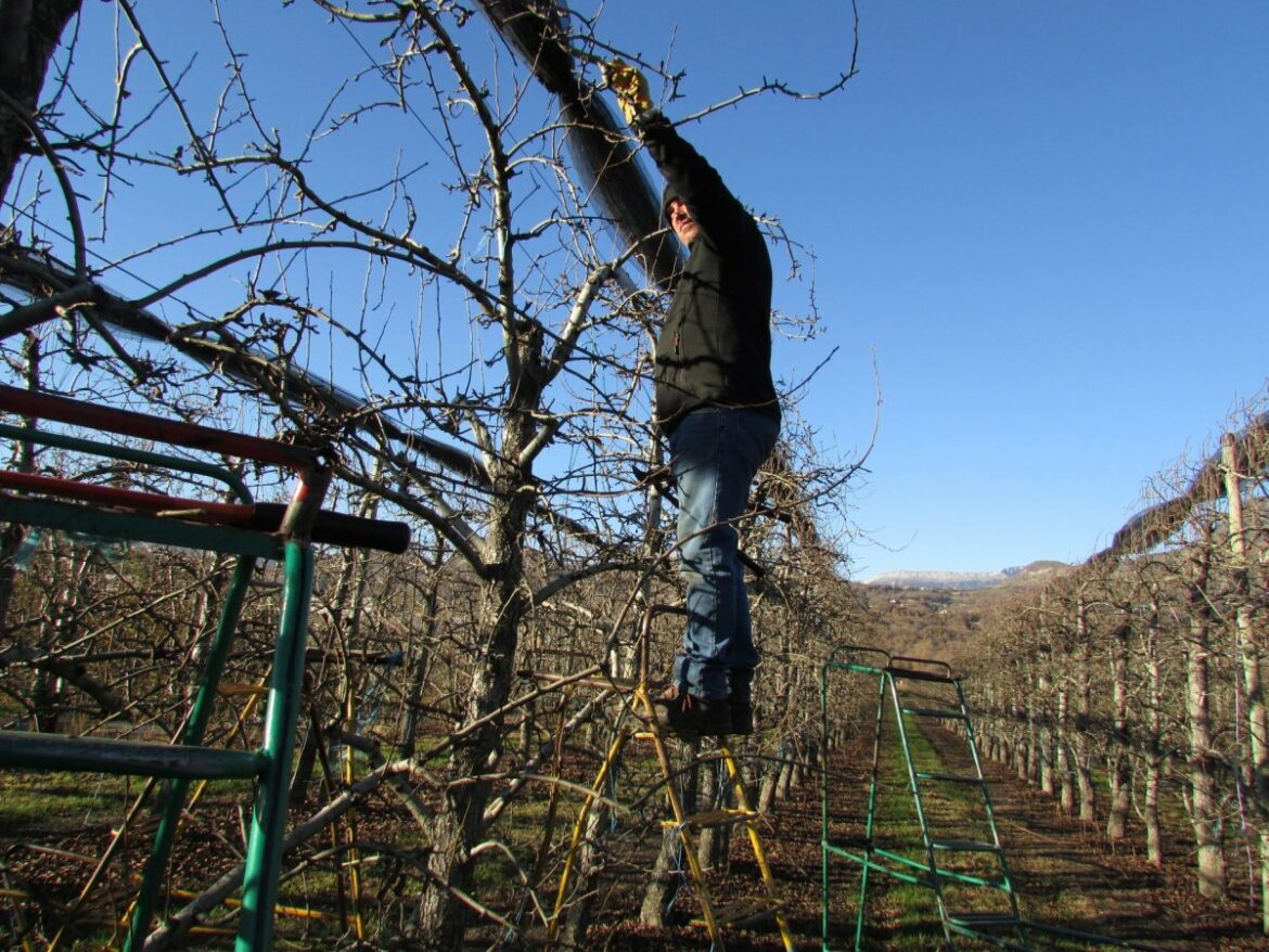 Pourquoi Fait-on la taille de formation ?