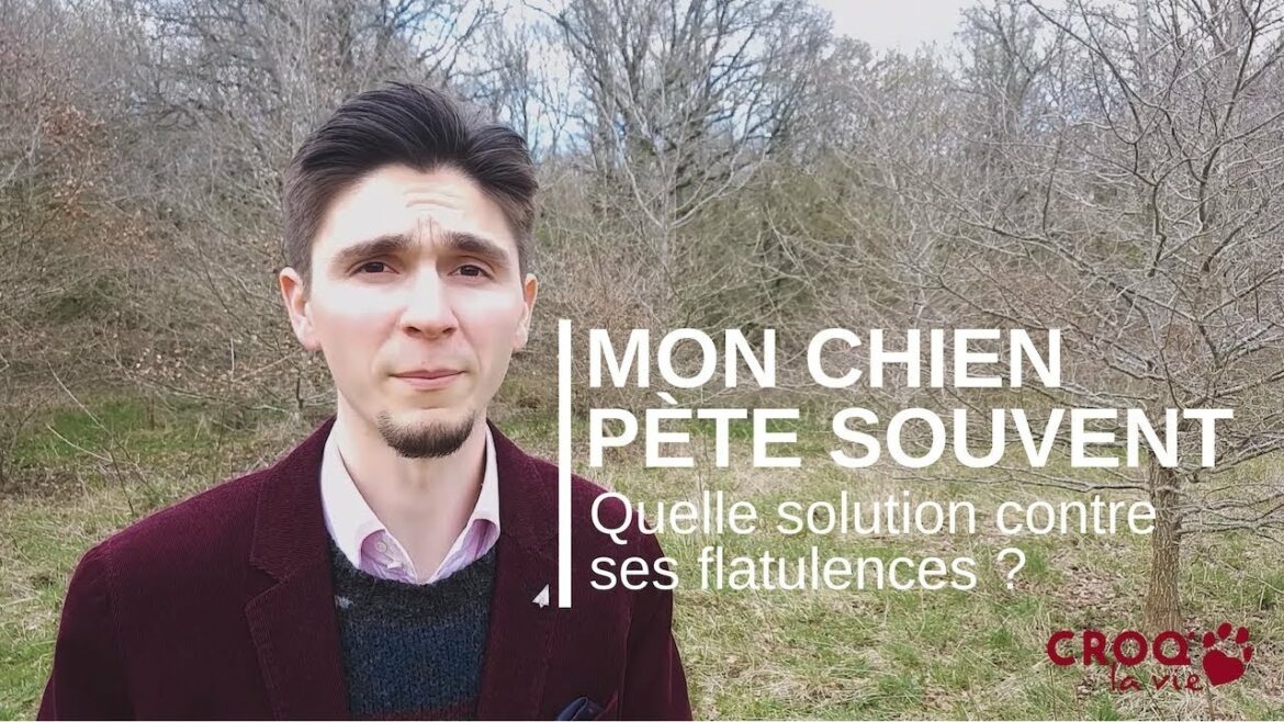 Pourquoi enlever le pistil des lys ?