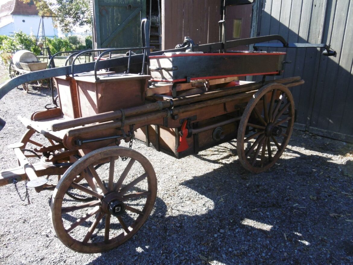 Pourquoi j'ai du pourpier dans mon jardin ?