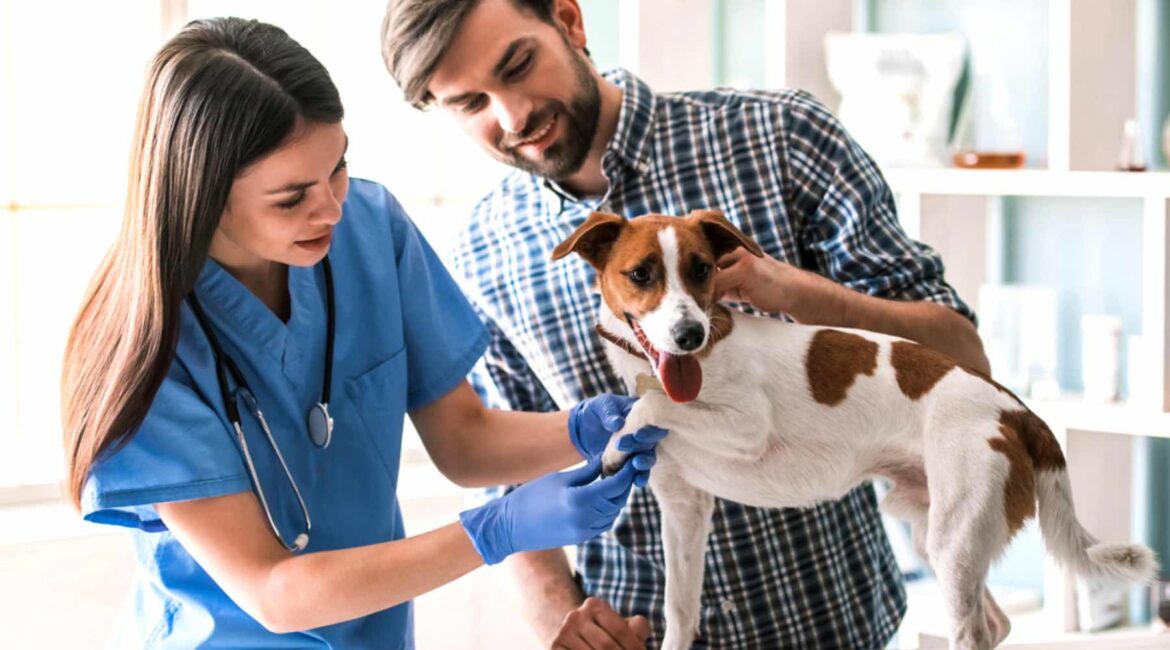 Pourquoi le philodendron pleure ?