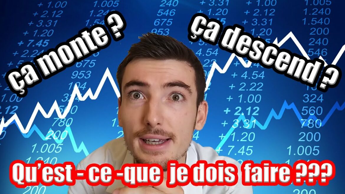 Pourquoi les feuilles de mon calathea s'enroulent ?