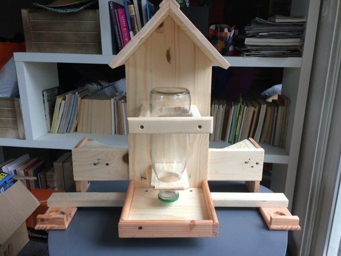 Pourquoi les oiseaux ne viennent plus à la mangeoire ?