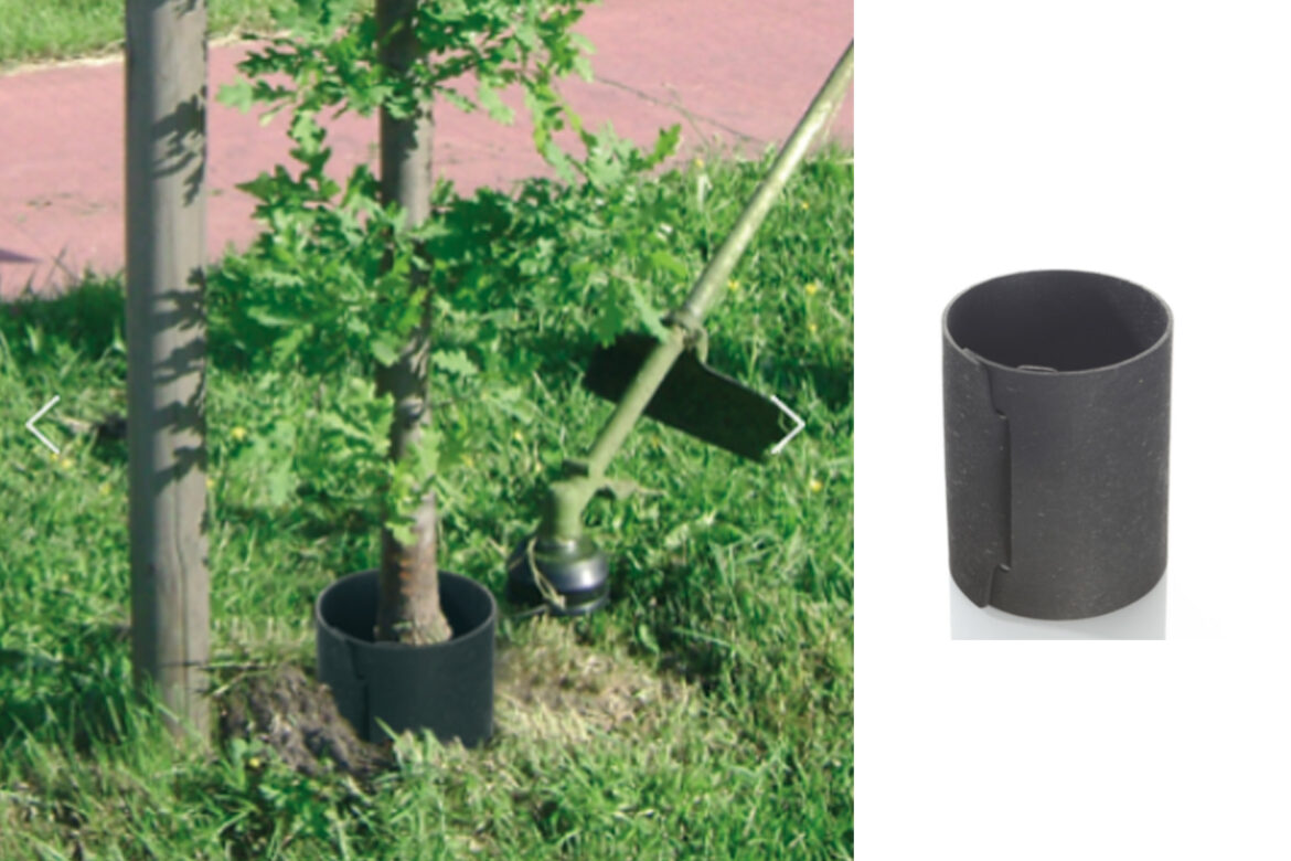 Pourquoi mettre de la cendre au pied des arbres ?