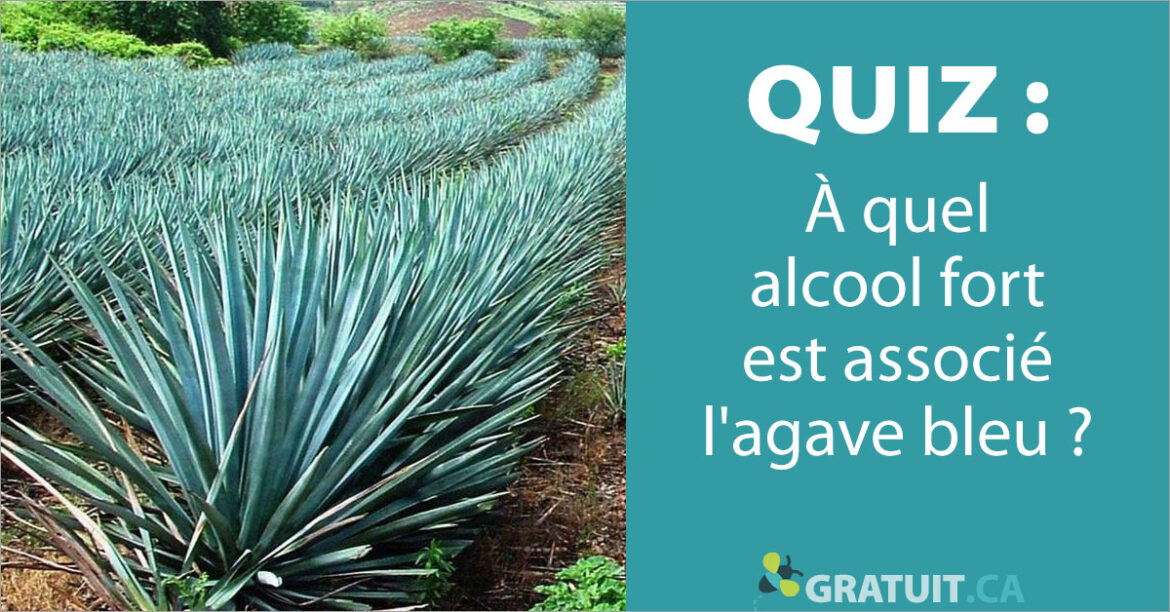 Puis-je remplacer le miel par du sirop d'agave ?