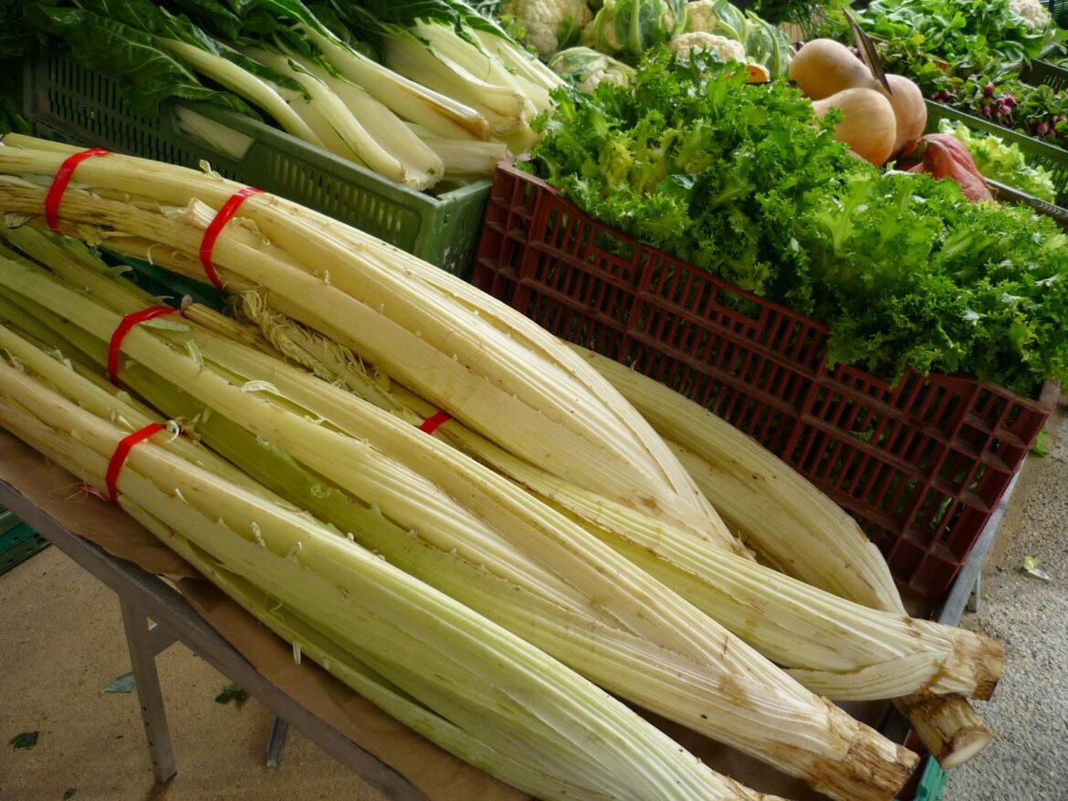 Quand consommer les cardons ?