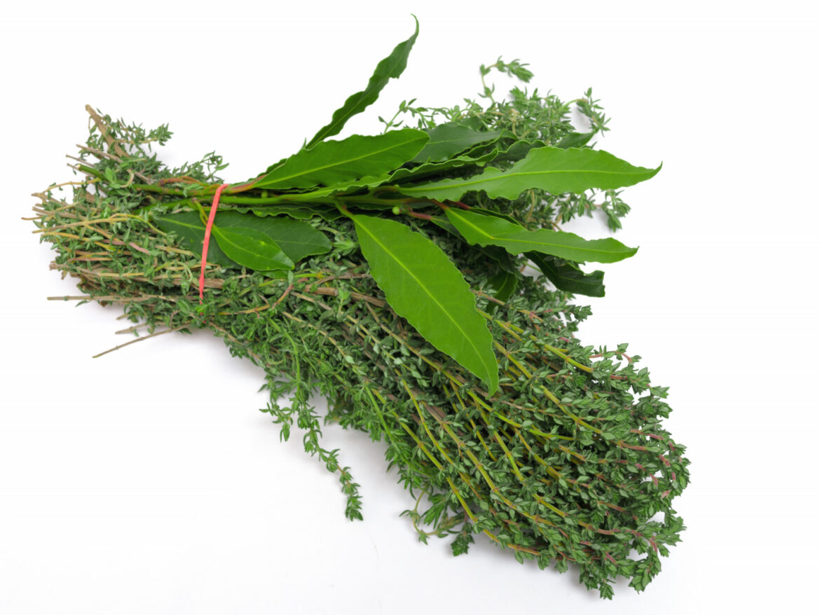 Quand couper laurier thym ?