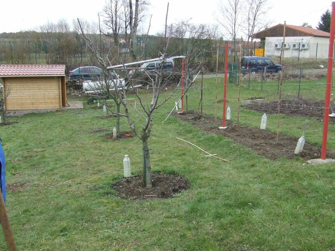 Quand faire la taille de formation ?