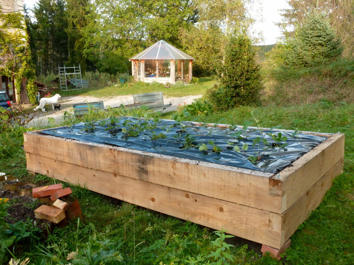 Quand planter des fraises en bac ?