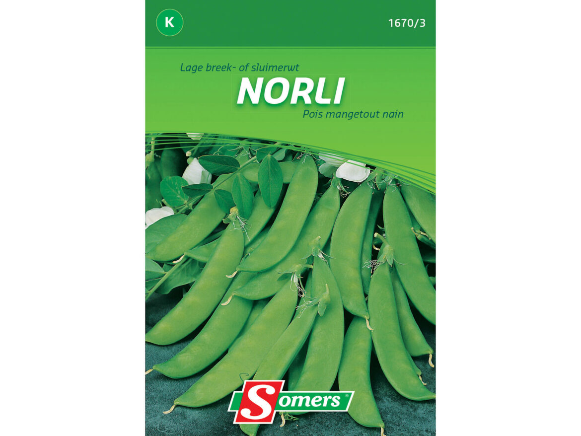 Quand planter les pois Mange-tout en pleine terre ?