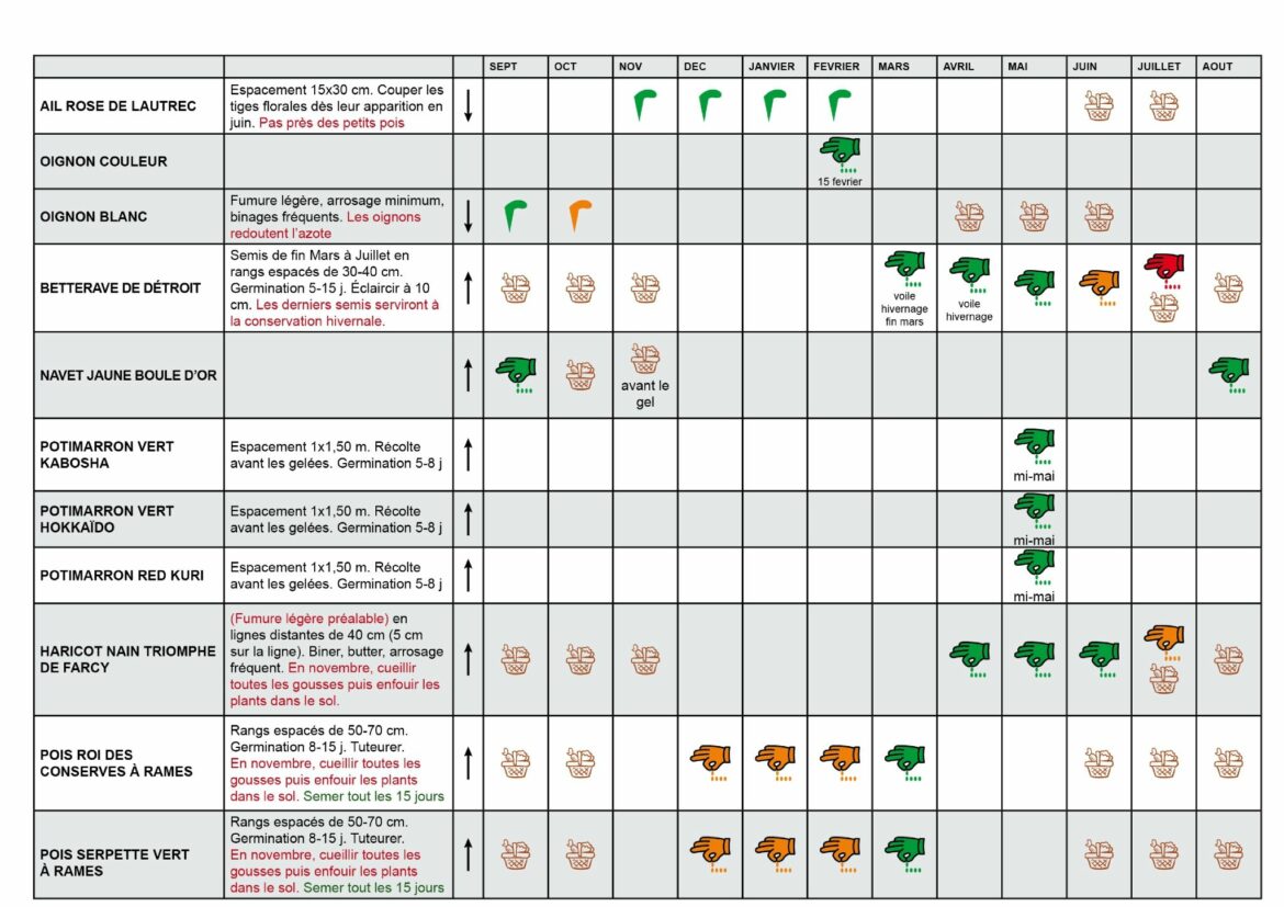 Quand planter les tomates en 2022 ?