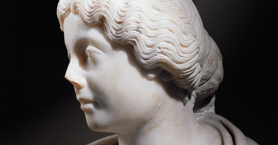 Quand planter un orme ?