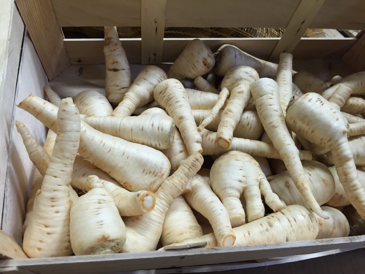 Quand récolter le persil tubéreux ?