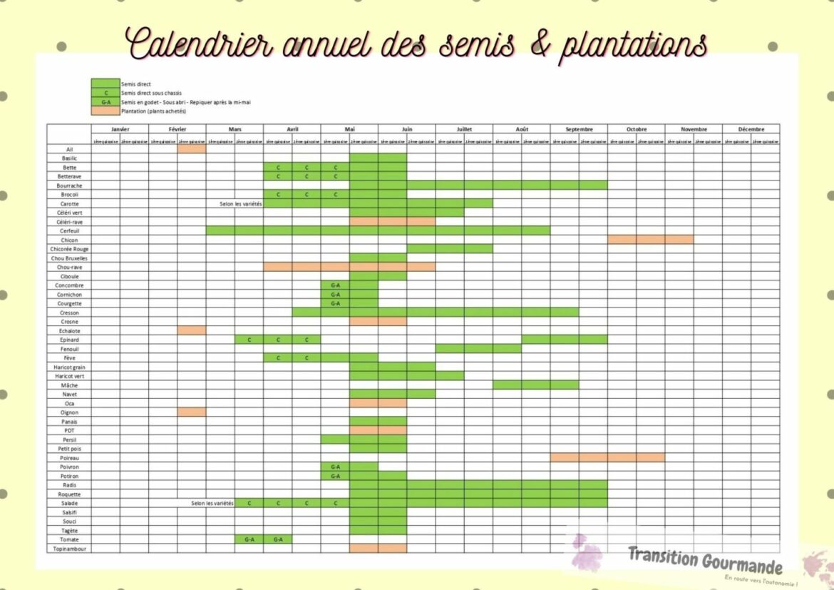 Quand semer les aubergine en 2022 ?