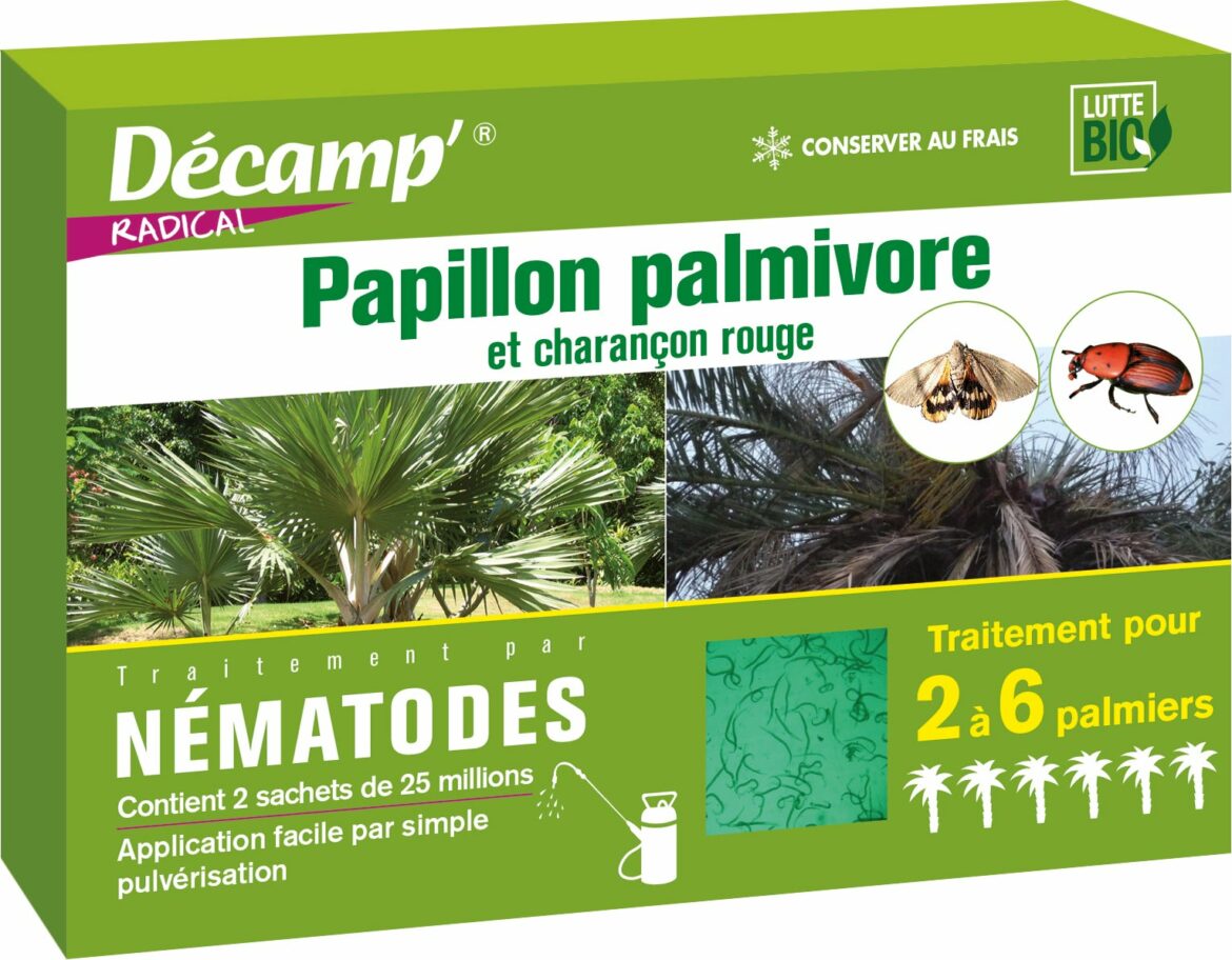 Quand traiter contre le papillon du palmier ?