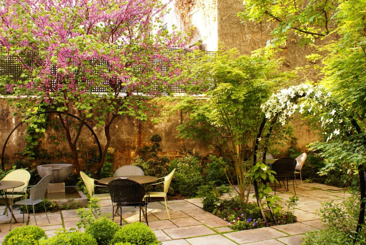 Quel arbre avec peu de racines ?