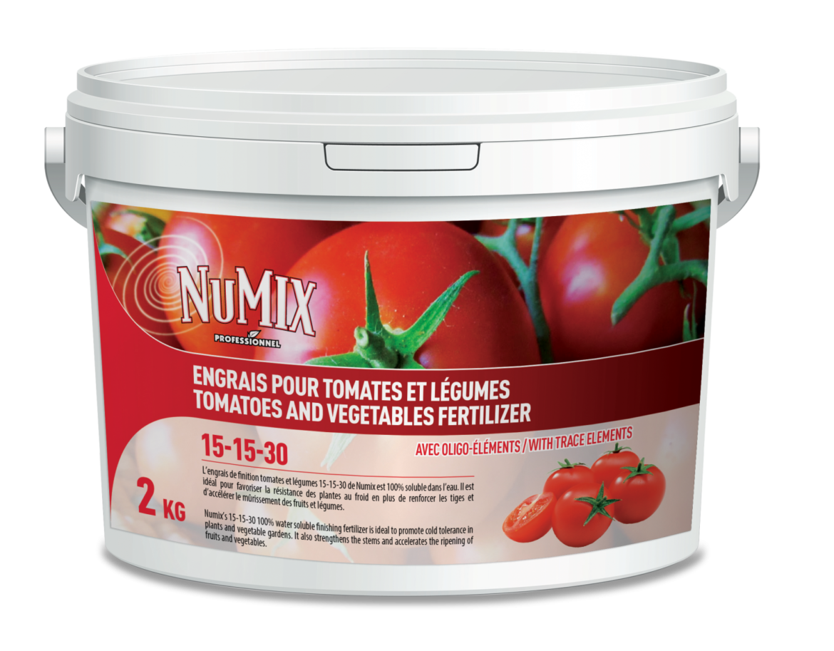 Quel engrais naturel pour les plants de tomates ?