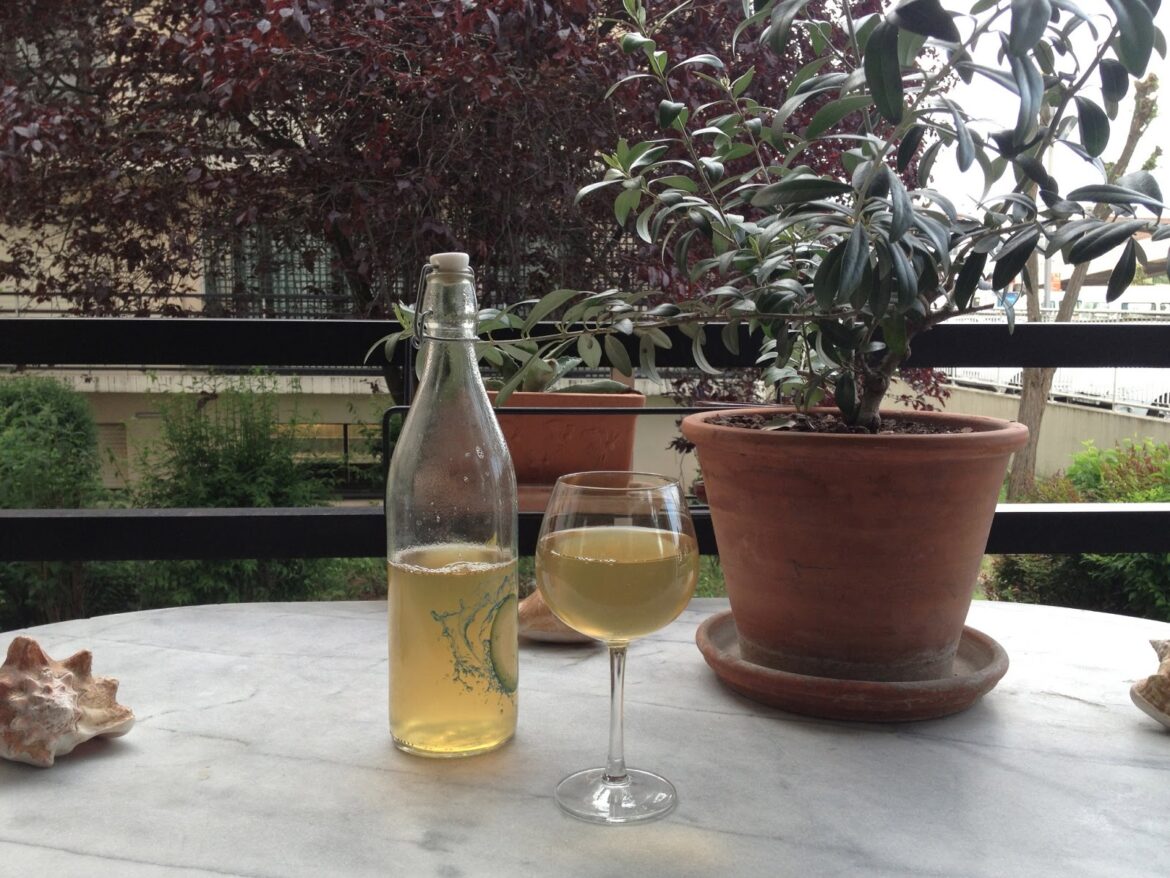 Quel est le meilleur persil ?