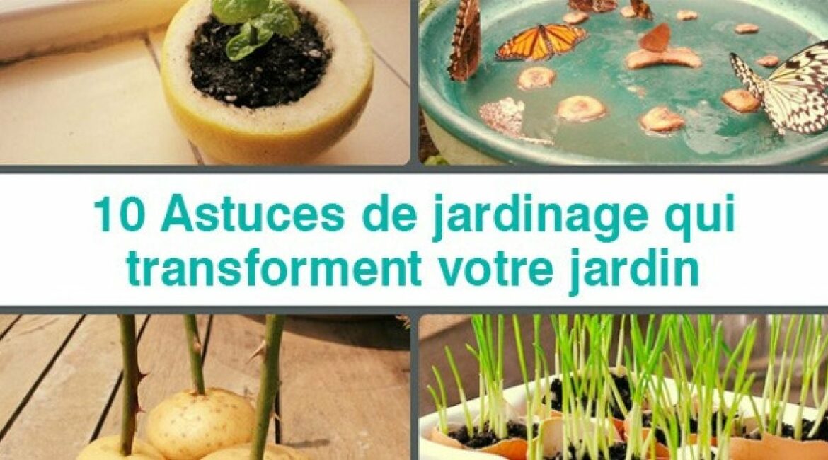 Quel est le prix d'un jardinier à l'heure ?
