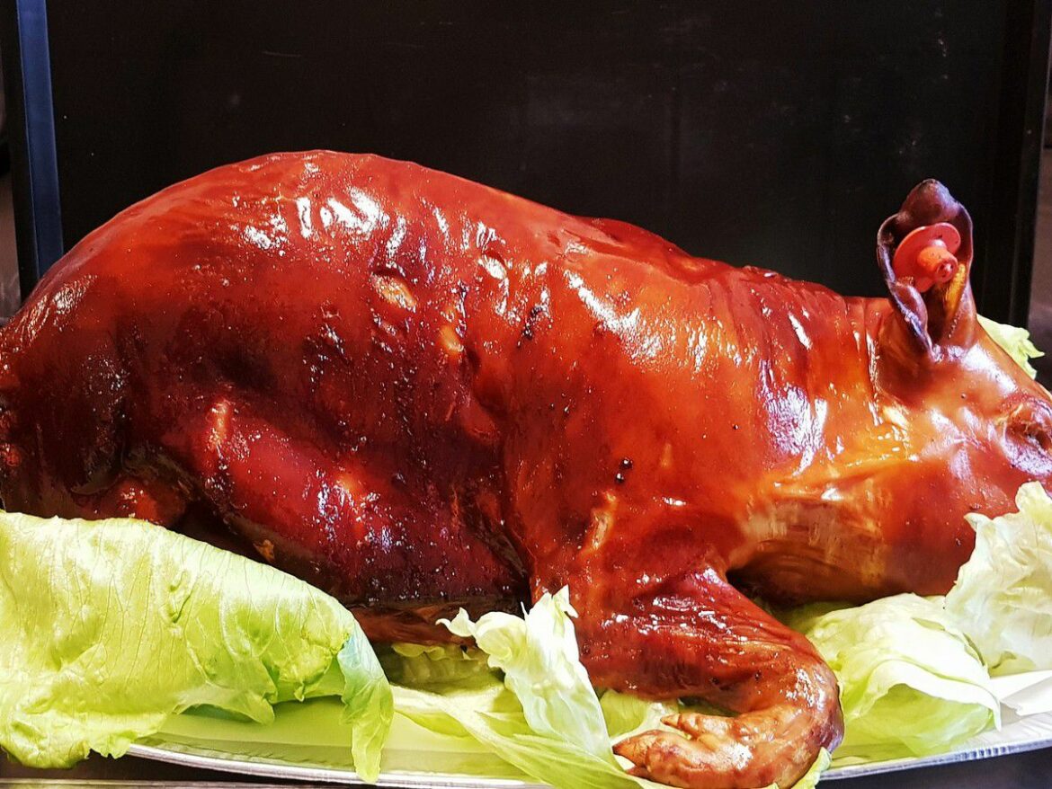 Quel est le prix d'un porcelet vivant ?