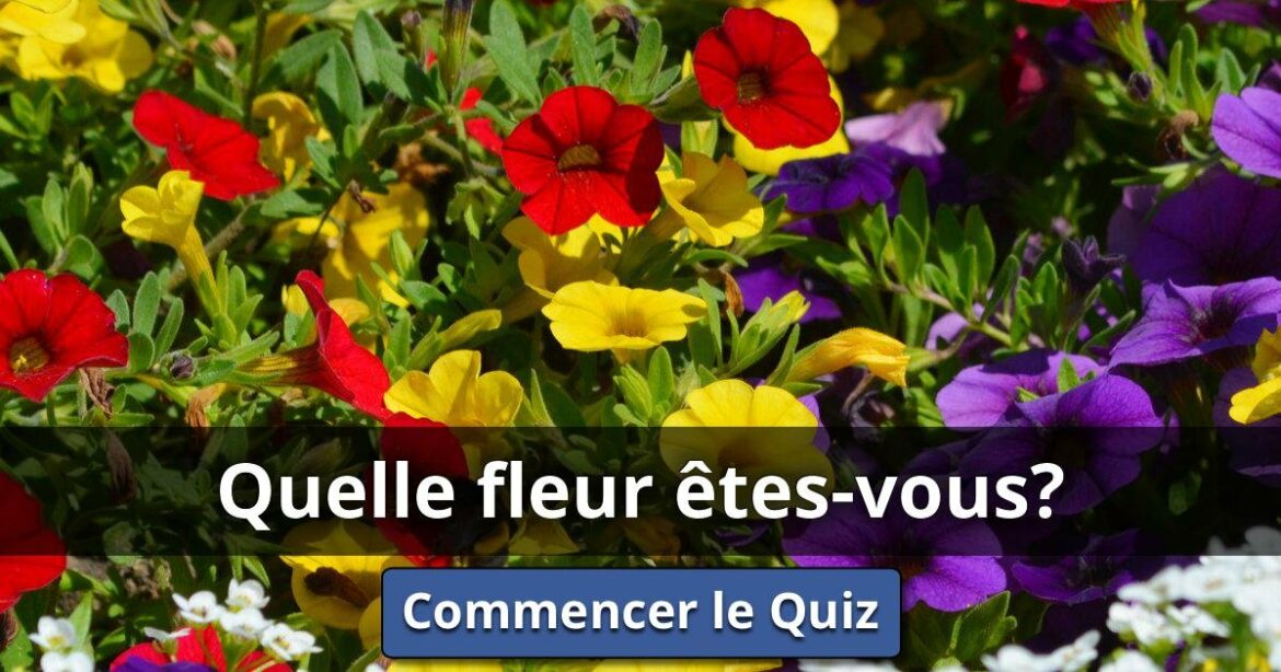 Quel est votre fleur préférée ?