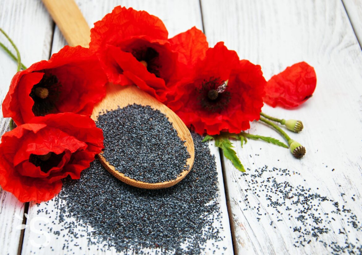 Quel goût a le coquelicot ?