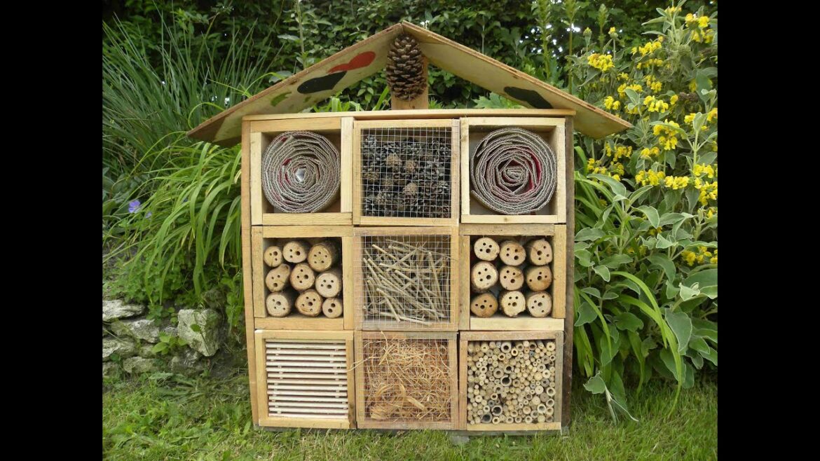 Quel grillage pour hôtel à insecte ?