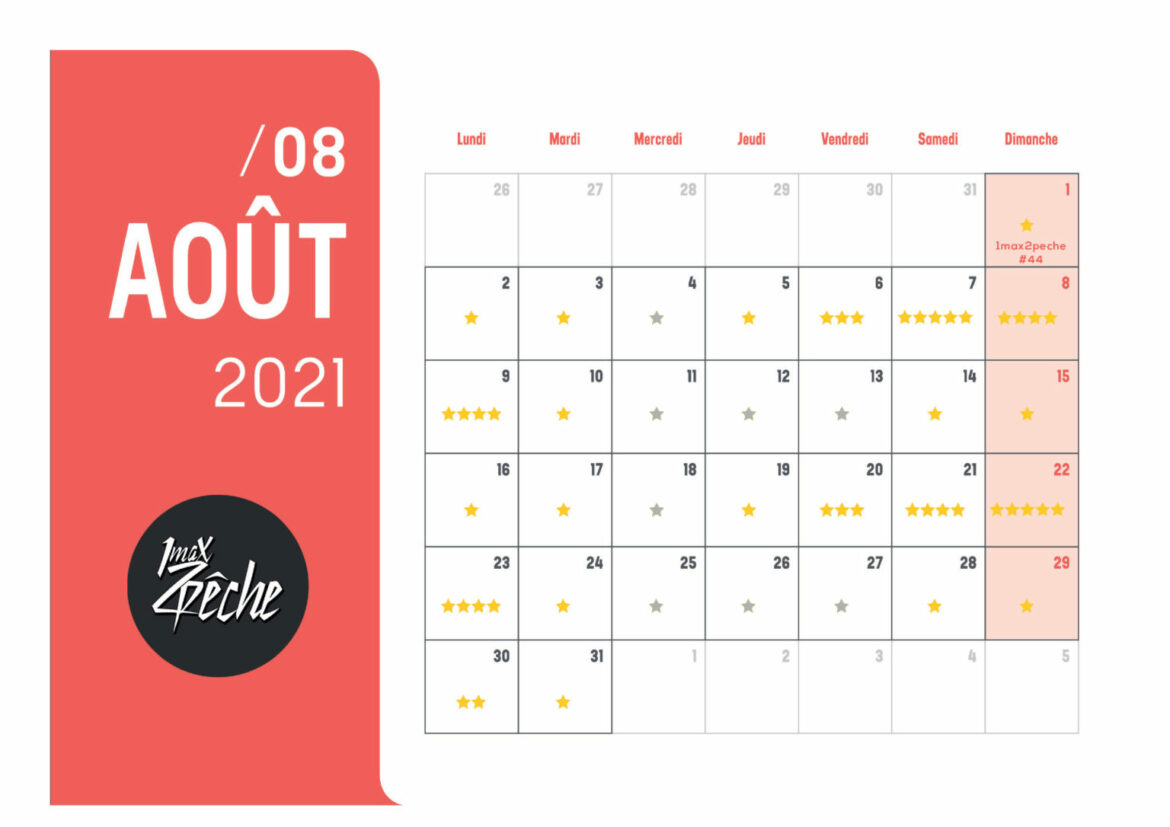 Quel semis faire en ce moment ?