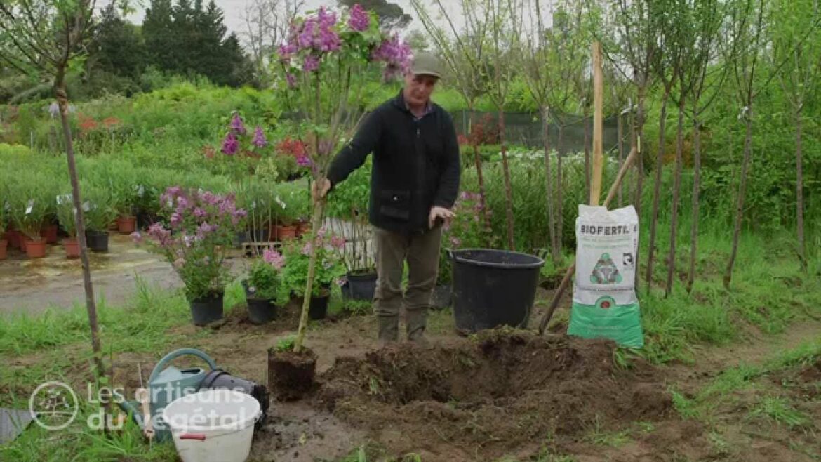 Quel terreau pour une impatience ?